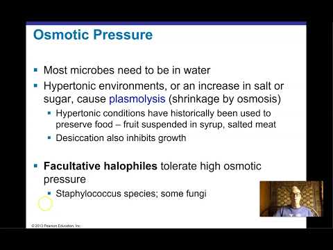 Ch 6 Part 1 Microbial Growth