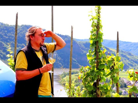 Video-Interview mit Marco van der Niepoort