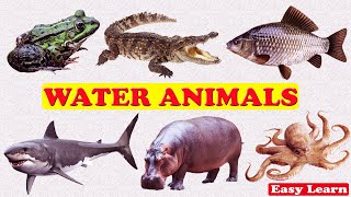 Learn Water Animals Name in English | Water Animals for Kids | जलीय जीवों के नाम अंग्रेजी में