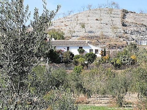 cyc450 ❤️ €159,950 Large Country Cortijo near Saliente - Albox Video 2