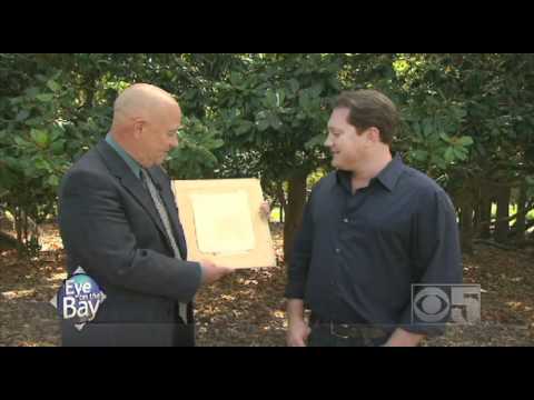 Eye on the Bay weekly tip - fine art signatures