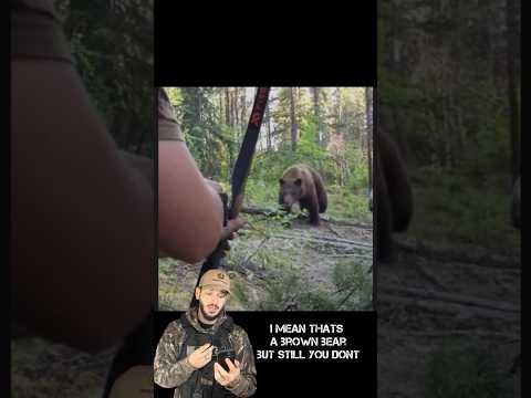 Bow VS Bear. #hunting #blackbear #wildlife #outdoors