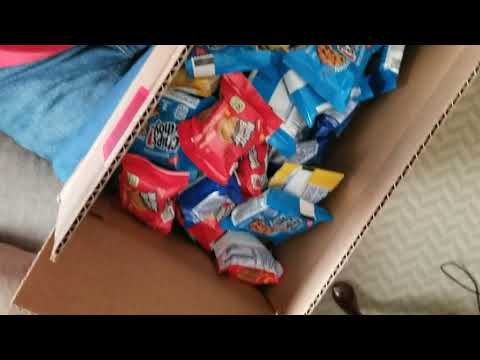 Amazon com  OREO Original, OREO Golden, CHIPS AHOY! & Nutter Butter Cookie Snacks Variety Pack, 56 S