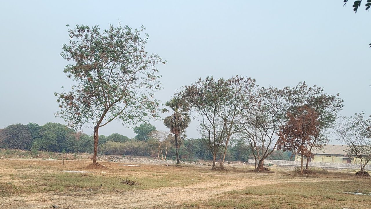 MR MS SINGH 07 is live