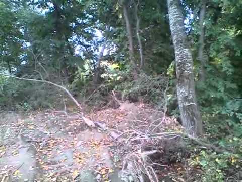 что сейчас за каруселями в Зеленокумске