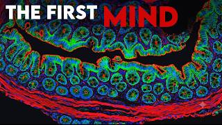 Does Bacteria Know Its Alive?