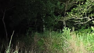 Download lagu MISTERI Puteri Santubong di Hutan Gunung Santubong mp3