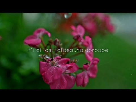 Iasmina Şevera şi Puiu Chibici - Mi-ai fost aproape