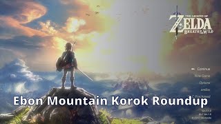 Ebon Mountain Korok Roundup - Zelda Breath of the Wild - 100% Walkthrough Playthrough Guide 20