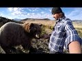 GoPro: Man and Grizzly Bear - A Unique Relationship