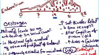 Continue Endocrinology by Dr.Yayooo