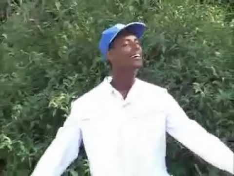 Girma Olana - Yaa dabalee NEW Oromo Music  2019