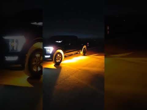 Diode Dynamics Stage Series Rock Lights on a 2022 Ford F150