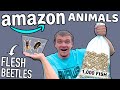 I Bought Crazy Animals You Didn T Know Were Sold On Amazon