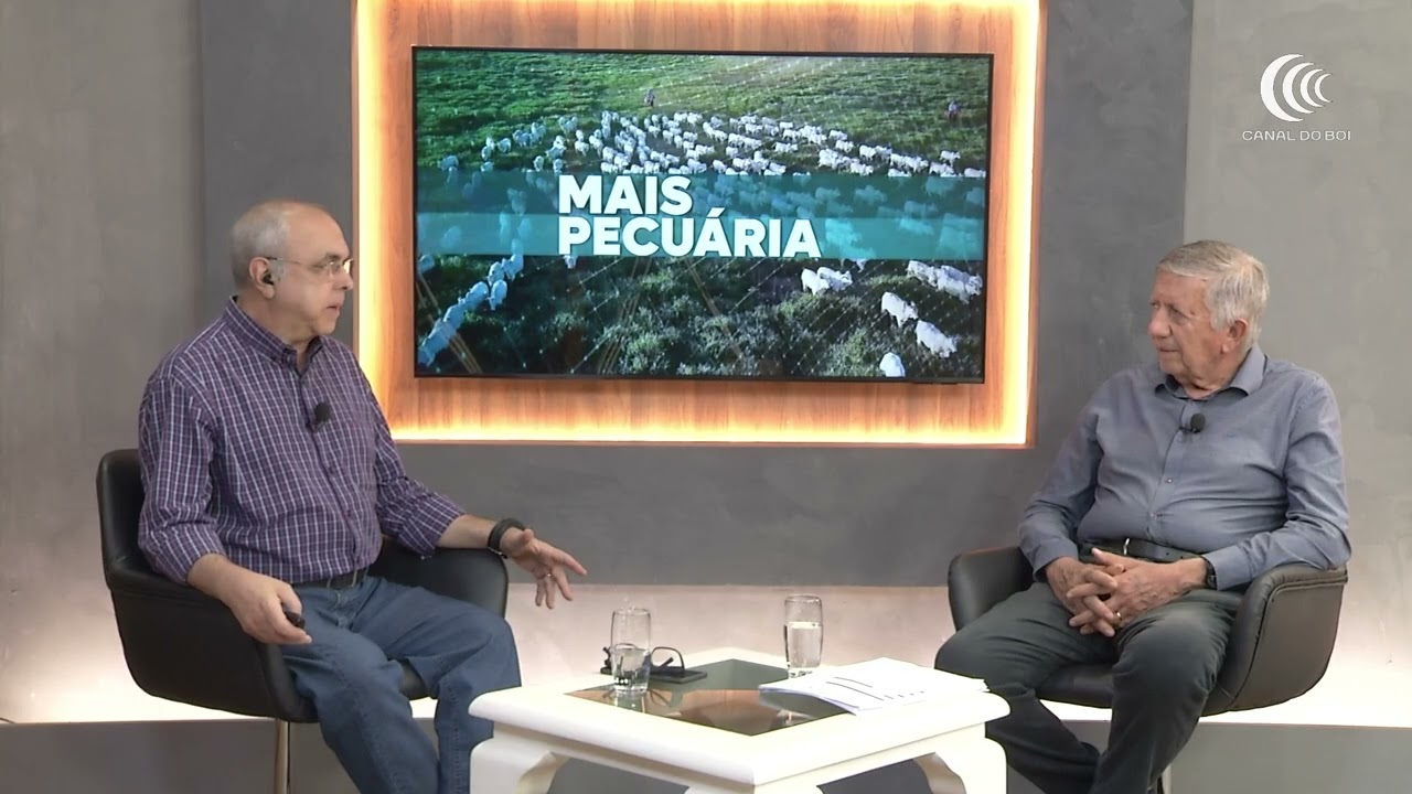Preço do "Boi China" bate recorde em São Paulo e mercados de produtos do agro seguem em expansão