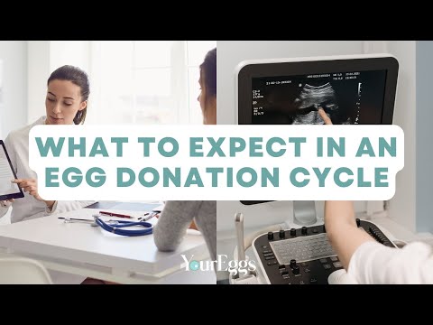 What To Expect In An Egg Donation Cycle? Process, requirements, time commitment, etc.