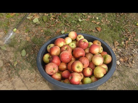 Visszér tudomány - Visszér: nyáron különösen oda kell figyelni