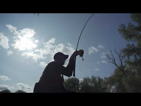 Daiwa: SPECTRON Commercial Ultra Rods