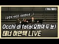 Tenor hamantaek - Occhi di fata (요정의 두 눈) | 테너 하만택 Live (가사/해석)