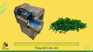 Máy cắt rau củ Нарізка зелені, овочів та фруктів STvega Belt Cutter Mini để bán - Hình ảnh 5 | Machineryline VN Máy cắt rau củ Нарізка зелені, овочів та фруктів STvega Belt Cutter Mini mới | Hình ảnh 5 - Machineryline