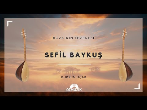 Bozkırın Tezenesi - Sefil Baykuş