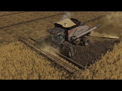 Farmersburg Ep#46 | Harvest | FS19 Timelapse | Farming Simulator 19 Timelapse