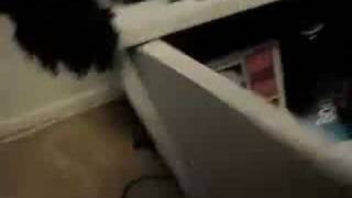 Is Chewbacca trapped in my nightstand?