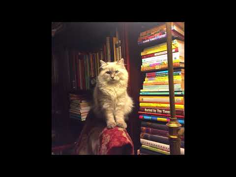 [FREE FOR PROFIT] Glaive x Ericdoa Pop Type Beat - "attic"