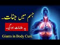 Jisam Mai Jinaat Yeh Alamat Hn Gi Giant In Body Symptoms Cure
