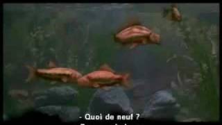 Monty Python&#39;s Fish Tank