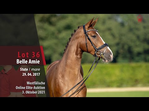 Online Elite-Auktion Lot 36 Belle Amie Stute v. Benicio - Show Star