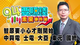 智原要小心才剛開始 中興電 士電 大亞