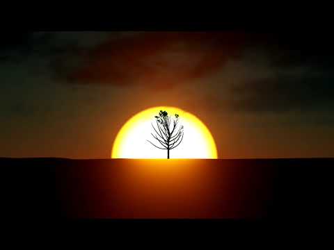 Meri - Fighting with this Earth (Luca Guerrieri Remix) Official Video