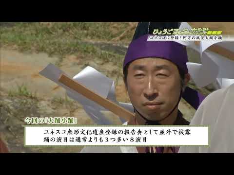 [Propriedade Cultural Intangível de Hyogo] Registrada na UNESCO! Uma olhada mais de perto em “Amano Furyu Daidori Kodori”
