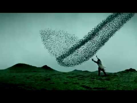 Reportage -  Don't Forget About The Past