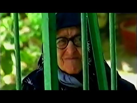 Neican: "Western Cyprus" – trailer | IFFR 2025