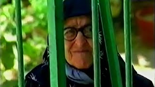 Neican: "Western Cyprus" – trailer | IFFR 2025