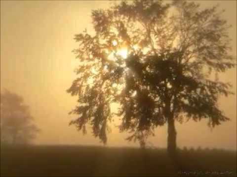 Enrico Toselli - Serenata