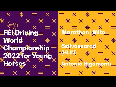 Mito | Marathon 5-year-old horses - FEI Driving World Championship 2022 for Young Horses
