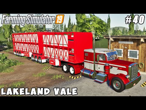 Selling homogenized milk, buying a million dollar sheep | Lakeland Vale 2 | FS 19 | Timelapse #40