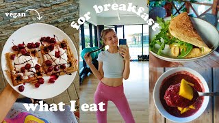 What I Eat in a Week FOR BREAKFAST / vegan /