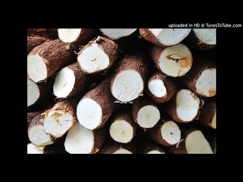 Mr Maninho feat Boss Guido - Saudades das Mandiocas