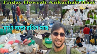 বড়ো মাথার রঙিন মাছ আর নতুন Aquarium Plants এলো অঙ্কুরহাটিতে | Ankurhati  Fish Market | Howrah Haat 