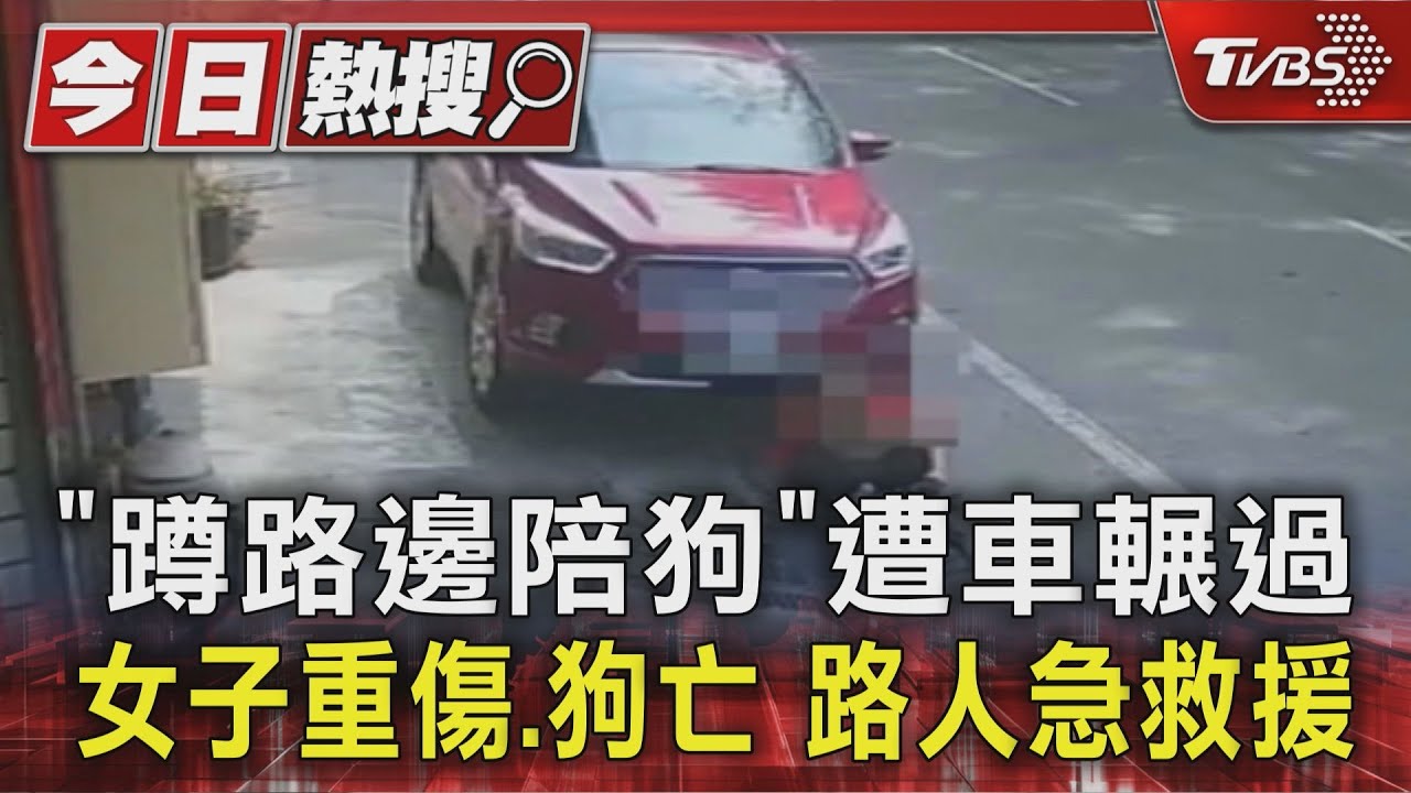 影音/婦人蹲撫愛犬遭休旅車輾壓! 駕駛低頭設導航釀「狗亡人重傷」悲劇