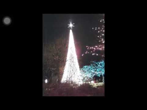 armando y rené el ausente