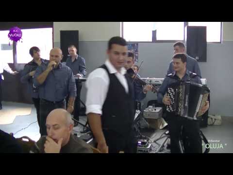 Orkestar OLUJA, Milana Obretkovića. -Vlaški splet kola i pesama-. Kučevo. 2016.