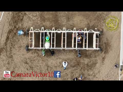 El Zafiro Vs El Designer 440