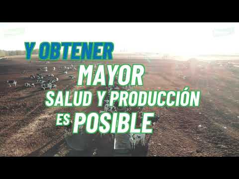 Rumensin™ Bolos ABC – Reduzca el balance energético negativo (BEN) de sus vacas.