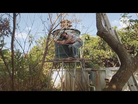 サボテン、多肉植物、水やりなしのそよ風ビュー、バルコニー、テラス、南の太陽がいっぱい