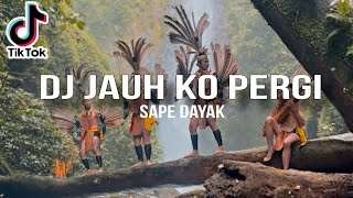 Download lagu DJ JAUH KO PERGI X SAPE DAYAK - REFORMANDA X DJ HAFIDZ VIRAL TIKTOK 2026 mp3